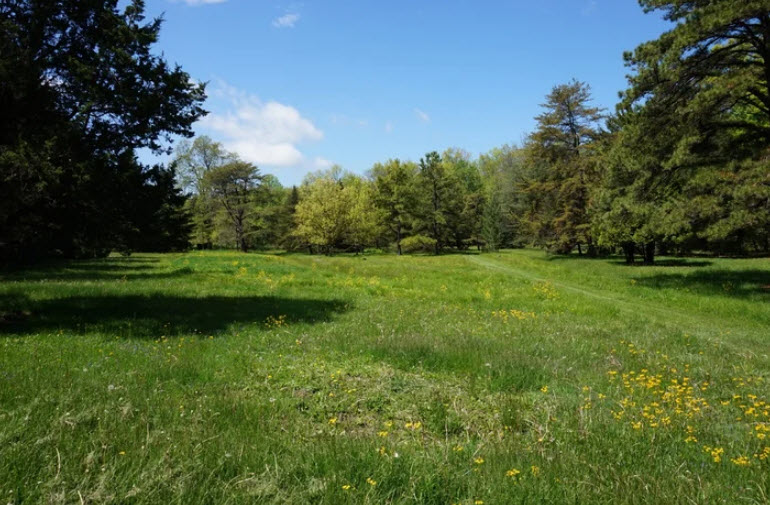 Graver Arboretum of Muhlenberg College, United States